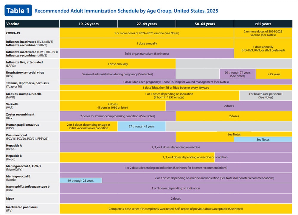 Adults immunization schedule.