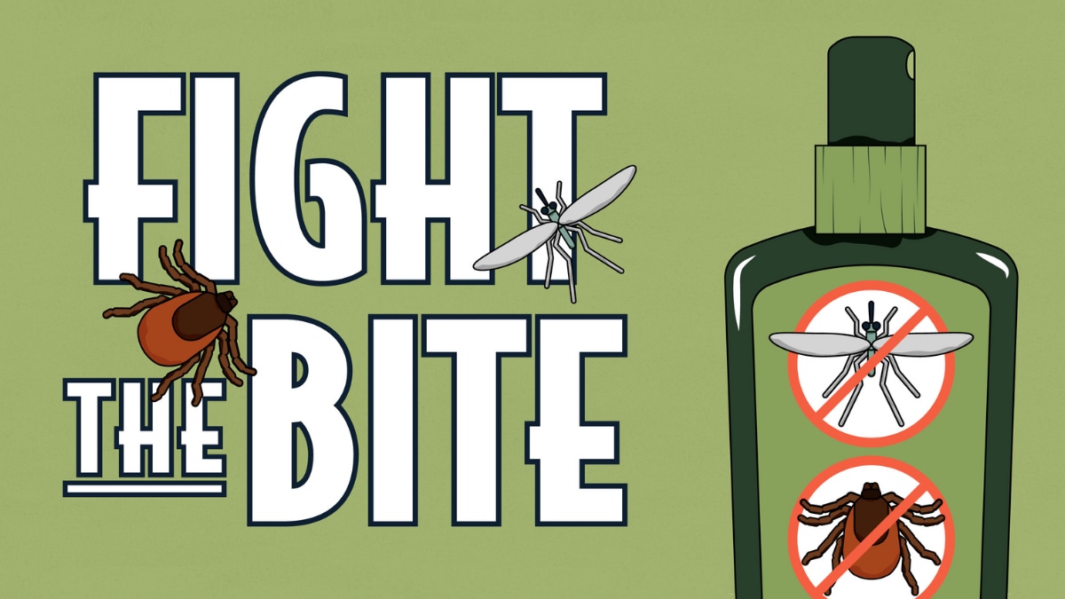 Fight the Bite design element with images of repellent, tick, and mosquito